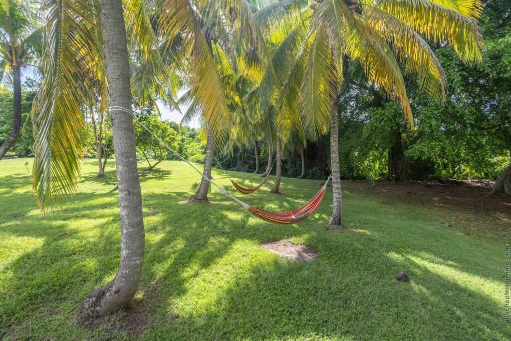 Suite Tropicale Village Vacances Sainte-Luce Extérieur photo